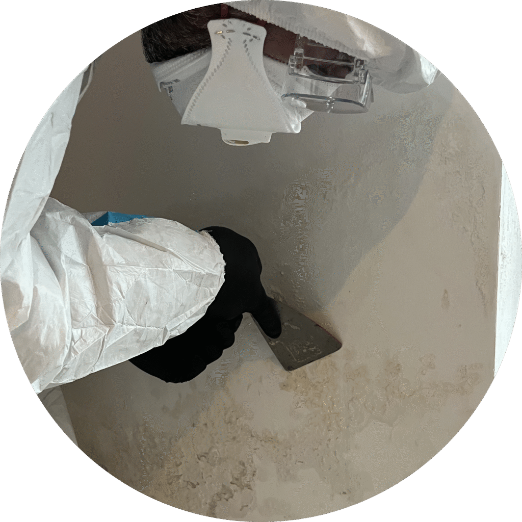 img 9250 modified img 9250 modified