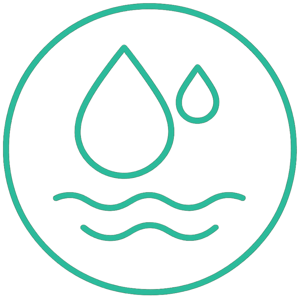 untitled design (2) (1) untitled design (2) (1)